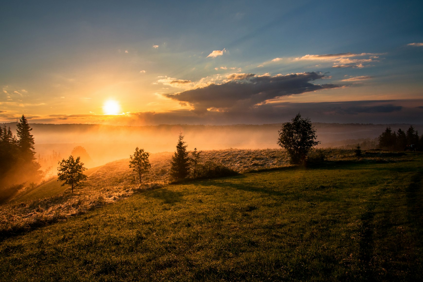 Disciple vs. Apostle: What Luke 6 Reveals About Both