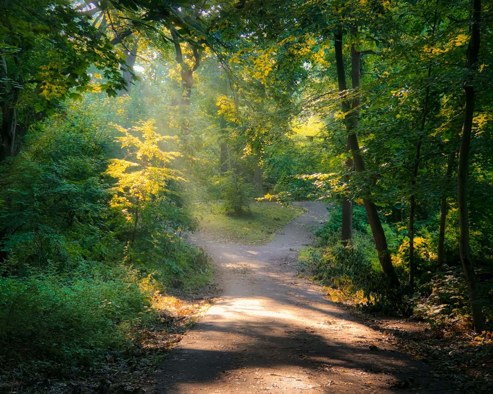 I Am the Way, the Truth, and the Life: A Reflection on John 14