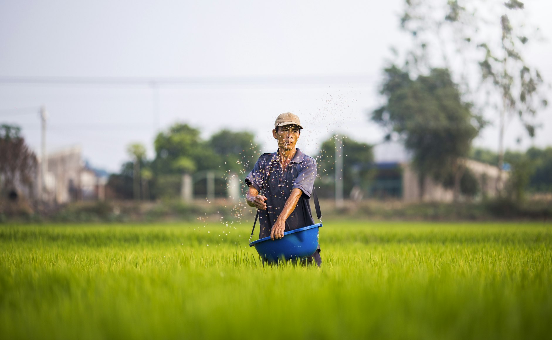 The Parable of the Sower: What Kind of Soil Are You?